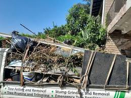 Best Attic Cleanout in Oglesby, IL